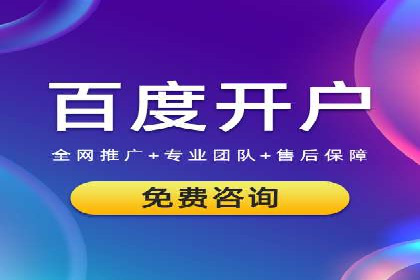 如何做SEM：从案例看策略制定与实施